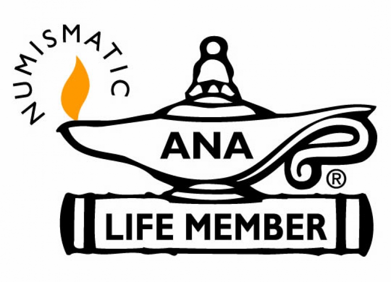 ana logo